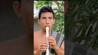 Download lagu Suling Merdu mp3 Download lagu Suling Merdu mp3