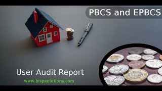 Oracle Planning and Budgeting Cloud Service User Audit Report