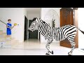 SUPER Episode Compilation Animal Names For Kids A Magic Wand Turns Toys Into GIANT Animals