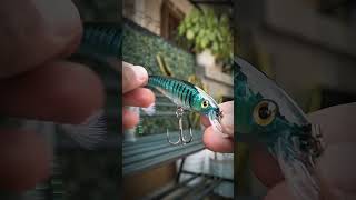 Download lagu Umpan casting minnow slow sinking dari Riptide Sakra untuk target barramundi. mp3 Download lagu Umpan casting minnow slow sinking dari Riptide Sakra untuk target barramundi. mp3