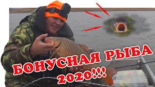 Ростов на дону рыбалка осень 2020