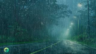 Adormecer Tranquilamente 💤 Chuva + Trovão na Estrada da Floresta 🌧️Barulho de Chuva para Dormir