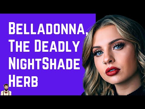 This Herb is Poisonous – Belladonna, the Deadly Nightshade