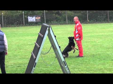 Szigetköz Kupa -MNJK. nemzeti Bajnokság, Erdei Zsolt-Mitch von der Pan-pan B:86