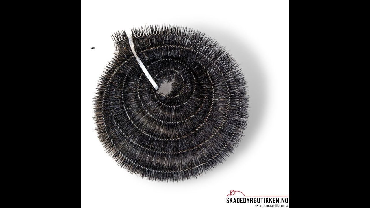 Musebørste og rottebørste PROFF 5 M x 6 cm - Ekstra stiv børste