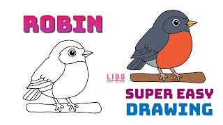 How to Draw a Robin Bird Easy for Kids and Beginners! #lidoartworks