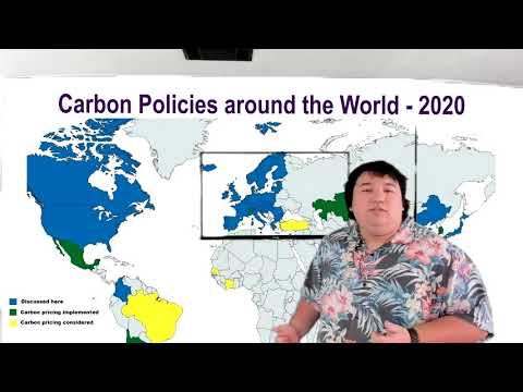 The Pigouvian Solution — Expert Discussion