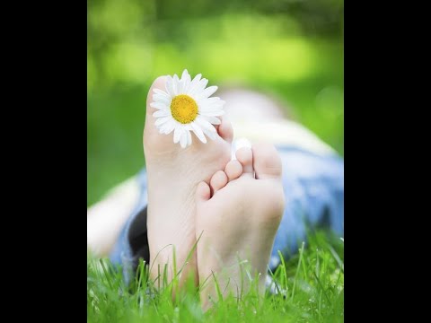 Os Saltimbancos Trapalhões (1981)