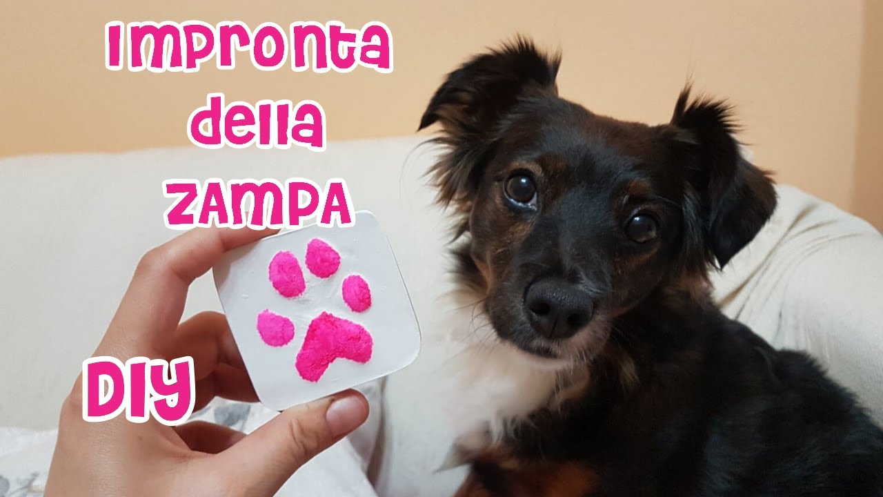 Realizziamo l'impronta 🐾 della zampa del cane 🐶 | Sissy's Creations