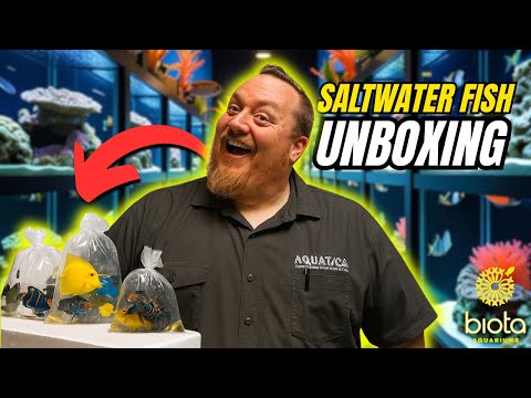 $5,000+ Order of Rare Fish from Biota! | INSANE Reef Haul