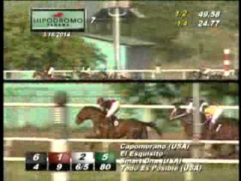 7MA CARRERA DOMINGO 16 DE MARZO 2014 HPR