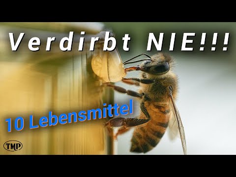 10 long-lasting foods that will survive any crisis/blackout & what YOU can make with them!