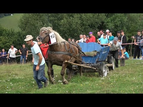 Concurs cu cai de tractiune Abrud, Alba 28 Iulie 2018