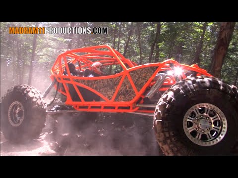 BRIGHT ORANGE BUGGY BEATDOWN