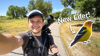 First Time Checking out the Nature Center at Pia Okwai. And a New LIFER!