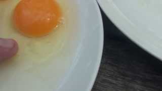Difference between a fertilised and unfertilised chicken egg