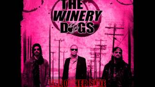 The Winery Dogs - The Other Side
