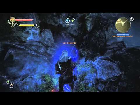 Witcher 2 Playthrough (PC) Part 43