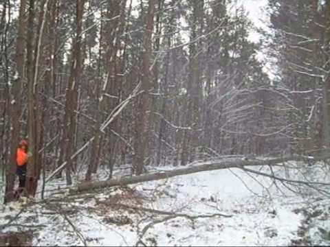 Ein Tag im Forst.wmv