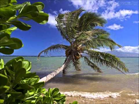 download lagu mp3 mp4 Hino O Crente E A Palmeira, download mp3 Hino O Crente E A Palmeira free downloadn, video klip Hino O Crente E A Palmeira