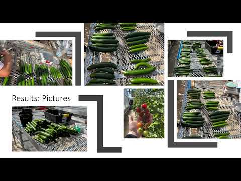 Spring ‘23 HORT 3200 “Hydroponics and CEA” class – Tomato/Cucumbers in Substrate Presentation