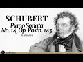 Schubert - Piano Sonata No. 14: II. Andante | Classical Piano Music