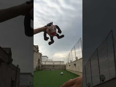 Happy birthday Jonathan official music video