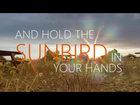 (Kinetic Typography) Sunbird - Michael Holborn & William Henries