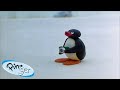Best Episodes From Season 2 Pingu Official Channel Cartoons For Kids