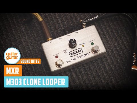 MXR Clone Looper | The ULTIMATE Compact Looper?