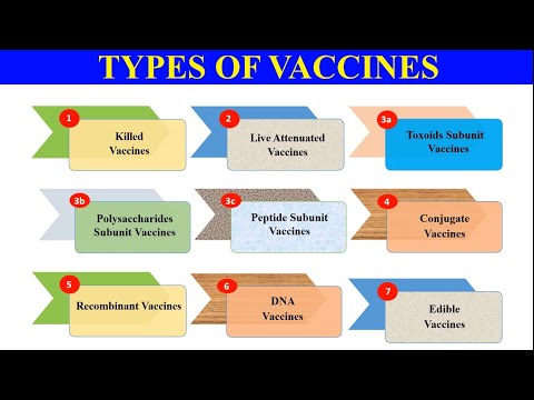 Vaccines and their types | Killed, Live Attenuated, Recombinant, DNA vaccine etc.