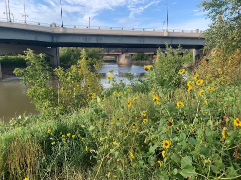 Play Video Youtube Video