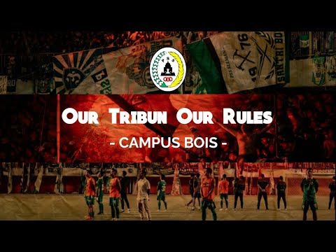 CAMPUS BOIS - OUR TRIBUN OUR RULES [LIRIK]