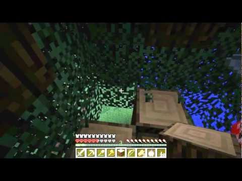 Minecraft Hunger Games Ep.7 - A WTF Finale!.wmv