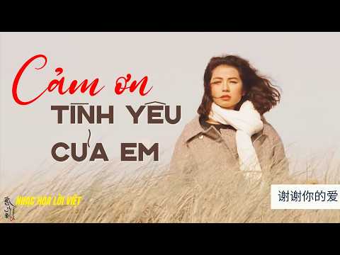 Cám Ơn Tình Yêu Của Em | 谢谢你的爱 • 鍾楚紅 | Nhạc Hoa Lời Việt