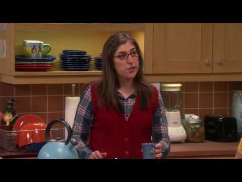 The Big Bang Theory - The Collaboration Fluctuation S10E19 [1080p]