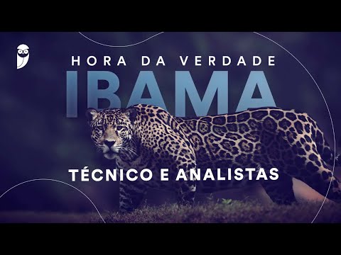 Hora da Verdade IBAMA – Técnico e Analistas: Língua Portuguesa - Prof. Felipe Luccas