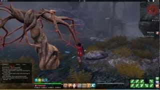 ★ The Secret World ★ - Of the Forest & The Uncorrupted