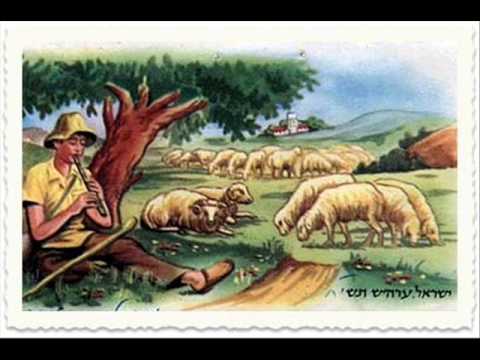 ניגונו של יוסי - אפי נצר וחבורתו Niguno shel Yosi - Effi Netzer Band