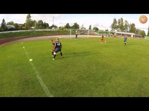 P06 ViTa07 KJS Maalit