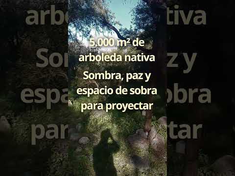 Media hectárea al pie de la sierra en Carpintería, San Luis + 2 cabañas de tronco