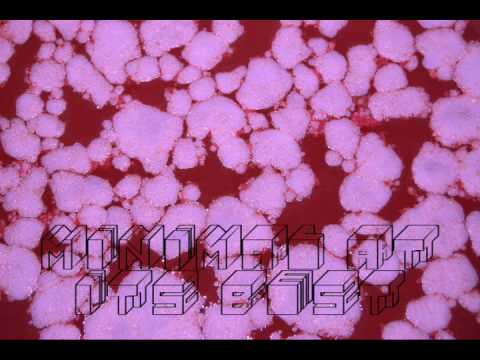 [MinimalTech] Miki Litvak & Ido Ophir - Shnorkel (Dousk Remix) [HQ]