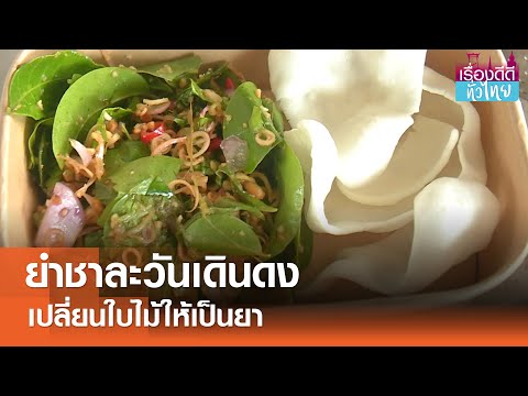 คลิกเพื่อดูคลิปวิดีโอ