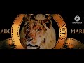 DLC Touchstone Pictures Columbia Pictures Metro Goldwyn Mayer Orion Pictures 2013