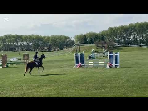 Penelope VF Keuring and show clips