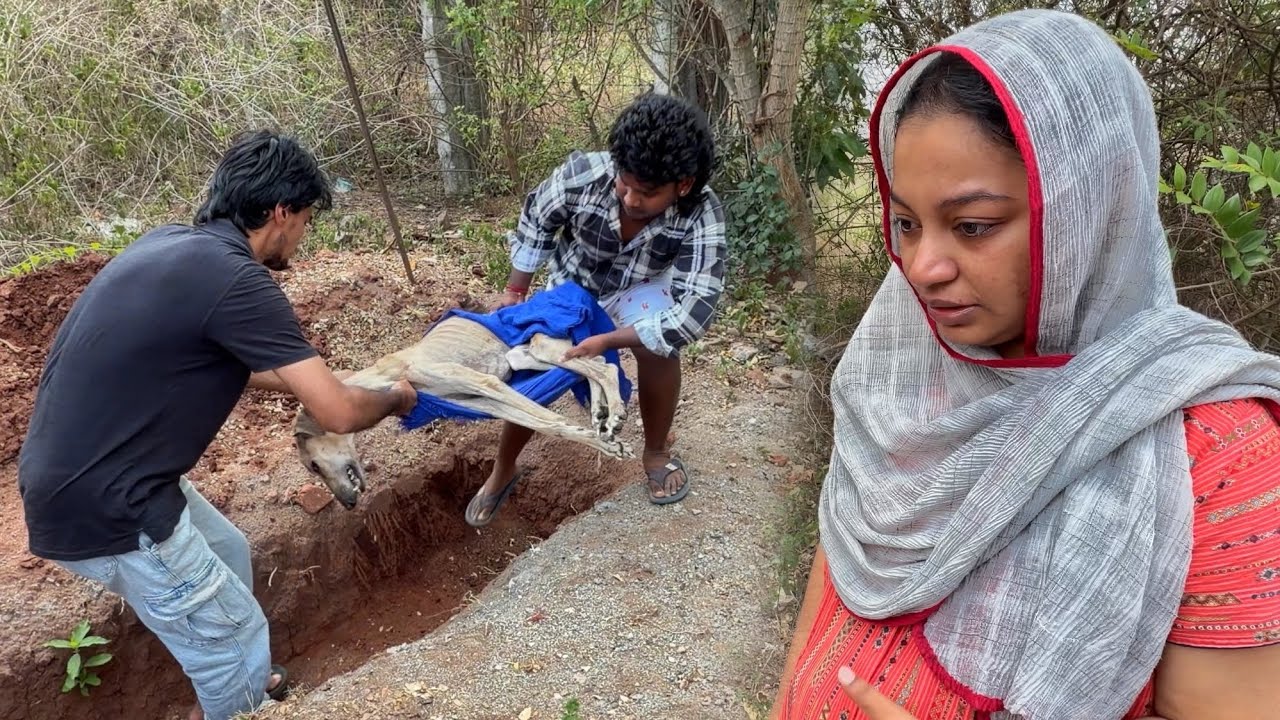 R.I.P MAARAN..💔 we Miss You..!!