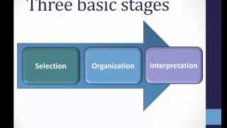 Perception Basics