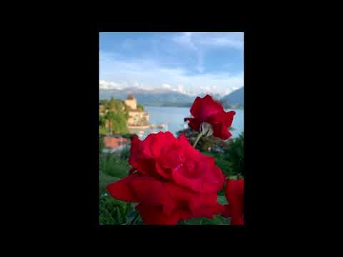 A Birthday Mix for Ofenblase by MoreTomBell and The Watcher