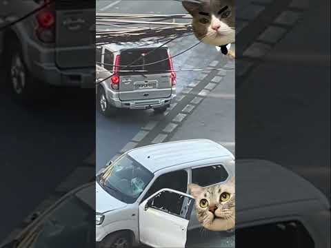 Kruche szyby w aucie #nauka #technika