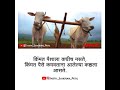 शेतकरी Brand Is Brand Status